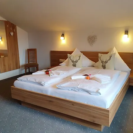 Apart Otel Alpenhof Waengle 3*