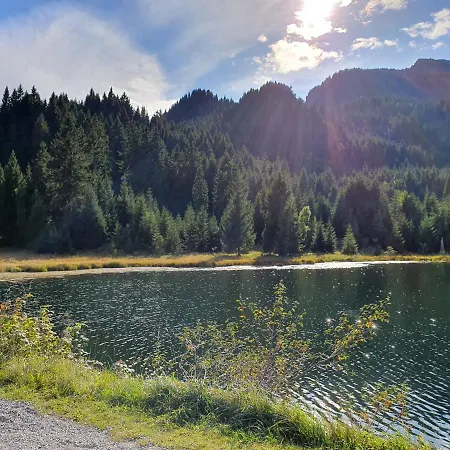 Alpenhof Waengle Aparthotel 3*