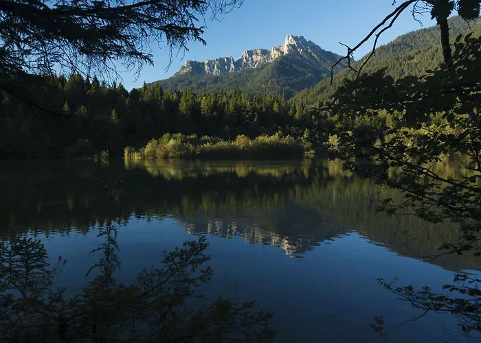 Ξενοδοχείο με διαμερίσματα Alpenhof Waengle 4*