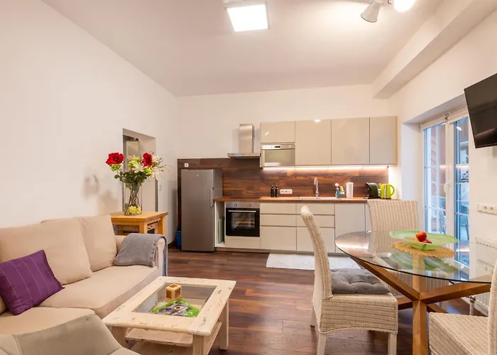 公寓式酒店 Alpenhof Waengle